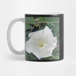 Speak Your Truth with the White Trumpet Flower Mug